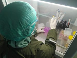 Ahli Epidemiolog: Belum Ada Temuan Varian Covid-19 Baru B117