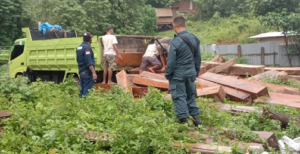 Illegal Logging di Buton Selatan, Satu Orang Dibekuk Tim Gakkum KLHK