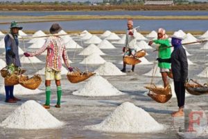 Pemerintah Akan Impor Garam, Mata Pencaharian Petani Semakin Dikerdilkan