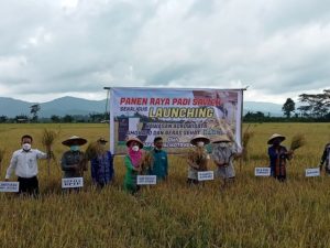 Bertepatan Harkitnas, Wali Kota Kendari Launching Beras Owoha dan Panen Raya di Agrowisata Amohalo