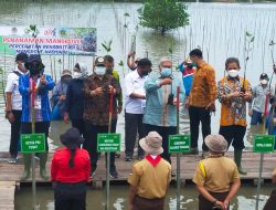 Puncak Perayaan HPN 2022, 20 Ribu Bibit Mangrove Ditanam di Pesisir Teluk Kendari