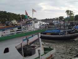 Kabar Gembira Bagi Nelayan di Kendari, Pemkot Bakal Bagikan Kapal, Mesin dan Alat Penangkap Ikan