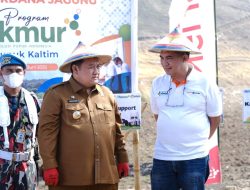 Perluas Program Makmur, PKT Tanam Jagung 50 Hektare di Gorontalo
