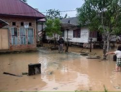 Ratusan Rumah di Buton Terendam Banjir hingga 1 Meter, Labakri Janji Pelebaran Sungai