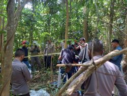 Warga Lalombaku Dikagetkan Penemuan Tengkorak dan Tulang Manusia di Tanah Warga, Begini Ceritanya