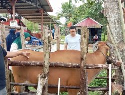 Lapas Kelas II A Kendari Kerjasama dengan Dinas Pertanian Kota Kendari serta BBV Makassar Gelar Pembinaan WBP Bidang Peternakan