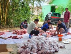 Pendiri Amal Center Bagikan 300 Kantong Daging Kurban kepada Warga, Amaluddin: Kami Sekeluarga Berkurban 4 Ekor Sapi