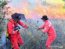 Manggala Agni Sultra Antisipasi Kebakaran Hutan dan Lahan Sebagai Dampak El Nino
