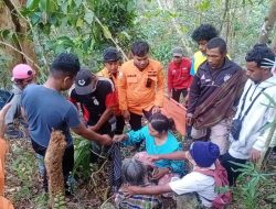 Tim SAR Berhasil Temukan Perempuan yang Dilaporkan Hilang di Hutan Buton Selatan