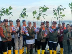 Peringati PRB 2023, BNPB Gelar Penanaman 2000 Pohon Mangrove di Desa Tapulaga, Kecamatan Soropia, Kabupaten Konawe