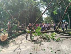 Dipimpin Letkol Inf Azwar Dinata, Puluhan Personel TNI/Polri Turun Bersihkan Ruas Jalan Akibat Banyaknya Pohon Tumbang