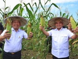 Pj Gubernur Sultra didampingi Pj Bupati Konawe Laksanakan Panen Raya Holtikultura dan Meninjau Bendungan Ameroro