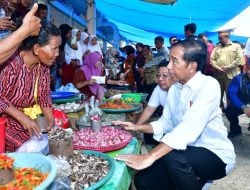 Usai Resmikan Bendungan Ameroro, Presiden RI Joko Widodo Kunjungi Kolaka Utara, Cek Harga di Pasar Lacaria, serta Bagikan 1000 Paket Sembako