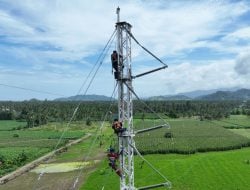 Jaga Keandalan Pasokan Listrik, PLN Bergerak Cepat Bangun Tower Emergency di Jalur Wolo – Kolaka