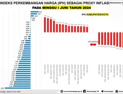 Jelang Idul Adha 1445 H, Harga Pangan di Provinsi Sultra Terpantau Relatif Stabil