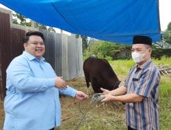 Berbagi dengan Sesama, Si Gemoy Yudhi Mahardika Kurban 13 Ekor Sapi