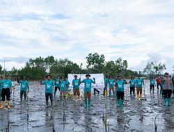 Peringati Hari Lingkungan Hidup Sedunia, PT Vale IGP Pomalaa Tanam Ribuan Bibit Bakau di Area Pesisir Desa Totobo