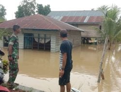 Babinsa Lainea Laksanakan Monitoring Wilayah Banjir di Kecamatan Laeya, Ratusan Rumah dan Lahan Pertanian Terendam Banjir