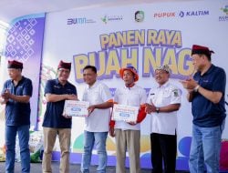 Dukung Pengembangan Komoditas Lokal, Pupuk Kaltim Pacu Produktivitas Buah Naga Banyuwangi