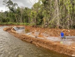 Normalisasi Sungai Bahopenila untuk Keberlanjutan, PT Vale Tegaskan Komitmen Lingkungan di Proyek Pengembangan Morowali