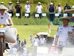 Gelar Panen Raya di Desa Alakaya, Palangga, Bupati Konsel dan Petani Milenial Sinergi Wujudkan Swasembada Pangan Konsel
