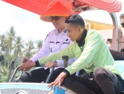 Bupati Kolaka Hadiri Panen Raya Padi di Kelurahan Balandete